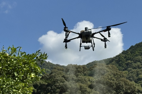 三重県の果樹園散布