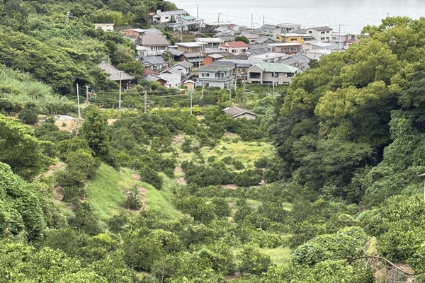 和歌山県の果樹園散布